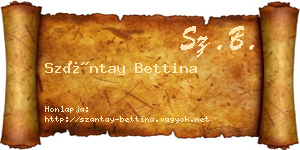 Szántay Bettina névjegykártya